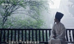 记录片苏东坡在线观看,穿越千年的文化传奇