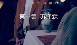 游手好闲苏大人评论爆料原视频,原视频深度解析